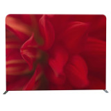China factory for sale 8ft x 8ft straight trade show tension fabric event aluminum backdrop stand
