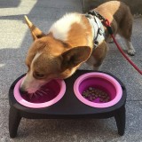 Folding Double Dog Bowl with Non-Skid Silicone Mat Pet Feeder Food Container Bowl Dogs Cat Feeding Bowl