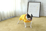 Pet Dog Rain Coat Clothes Dog Puppy Casual Waterproof Jacket Yellow