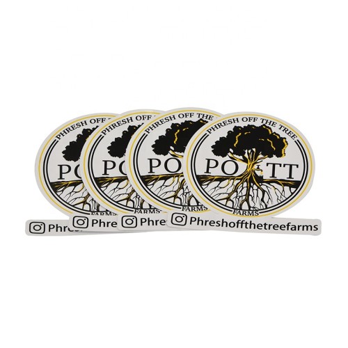 Custom self adhesive waterproof transparent car sunroof sticker men