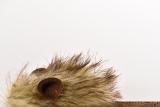 Wear Resistant Unique Lovely Pet Simulation Mouse Toy