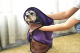 Wholesale durable dog bath towel,dog towel
