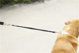 Hot Selling New Model Hands Free Walk Dog Lead Bicycle Exercise Leash
