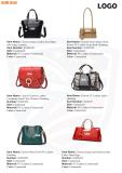 Custom your bags catalogs for free