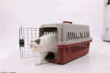 Plastic High quality indoor cat litter box Cat Toilet