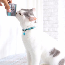 Personalized small cat collar,pattern cat collar