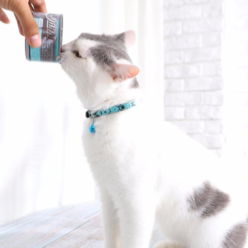 Personalized small cat collar,pattern cat collar