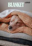 Custom your blanket catalogs for free