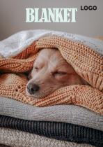 Custom your blanket catalogs for free