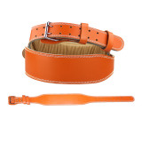 Competitive price Adjustable Fitness Belt For Gym