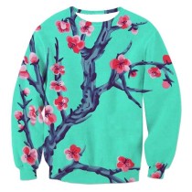 Wholesale Men'S Custom Your Own Design 3D Printed Sweatshirt Hoodies