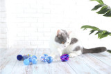 cheap colorful funny mouse cute cat toy set