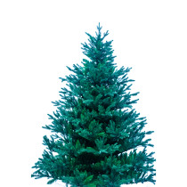 7.5ft Giant Pine Needle Outdoor Decorated PE Mixed PVC Christmas Trees