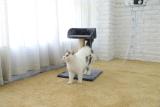 Simple Comfortable Large Cat Tree Furniture