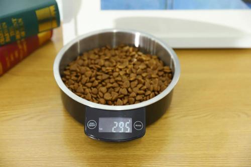 Wholesale stainless steel dog bowl,automatic dog feeder