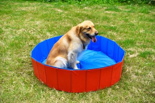 Foldable dog grooming bathtub pvc dog swimming bath tub pool
