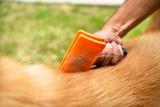 Wholesale Pet Grooming Comb, Hair Brush Pet Grooming