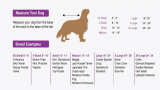 Disposable Fashion hot Sales Rain Gear Dogs Raincoat For Pets