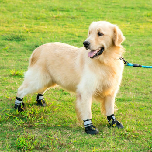 Dogs non-slip anti skid cotton pvc rubber antiskid waterproof silicone reusable protection rain shoes pet snow boots