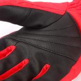 Women Winter snowboard gloves  Custom waterpoof gloves Warm Nylon Cycling Gloves with pocket