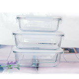 Mcrowave safe glass meal box with plastic sealed lids
