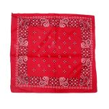 Customized Unisex Multifunctional 55X55Cm Headpiece Baby Bibs Bandana Cotton Bandana For Women Paisley Bandana