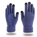 Dual Layers Fleece Line Thick Warm Gloves Touch Gloves