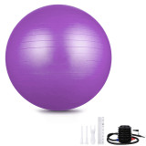 Custom Sized Anti Burst Balance Exercise Ball with Hand Pump PVC GYM Yoga Ball