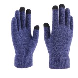 Dual Layers Fleece Line Thick Warm Gloves Touch Gloves