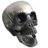 Halloween Life Size Replica Realistic Human Skull Head Bone Model
