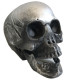 Halloween Life Size Replica Realistic Human Skull Head Bone Model