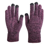 Dual Layers Fleece Line Thick Warm Gloves Touch Gloves