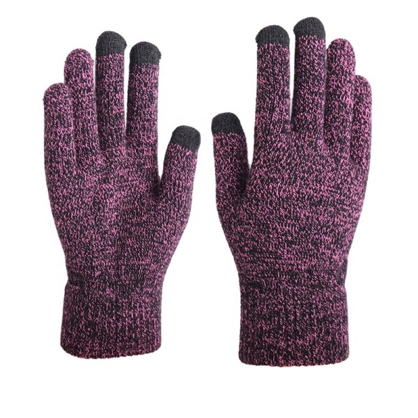 Dual Layers Fleece Line Thick Warm Gloves Touch Gloves