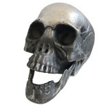 Halloween Life Size Replica Realistic Human Skull Head Bone Model