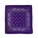 Hot Sale Stock Classic Paisley Pattern Cotton Bandana Square Kerchief