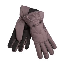 Windproof Winter Snowboard Gloves Weatherproof Ski Gloves