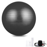 Custom Sized Anti Burst Balance Exercise Ball with Hand Pump PVC GYM Yoga Ball