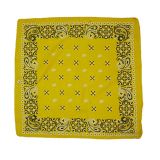 Customized Unisex Multifunctional 55X55Cm Headpiece Baby Bibs Bandana Cotton Bandana For Women Paisley Bandana