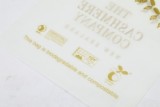 Custom Printing 100% Biodegradable Mailer Bags Compostable shipping bags water resistant