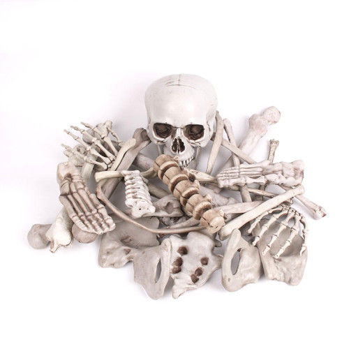 Hanging Life Size Plastic Halloween Prop Skeleton