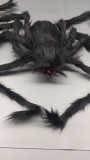 Toy Rhinestone Transfer On Man Inflat Halloween Spider