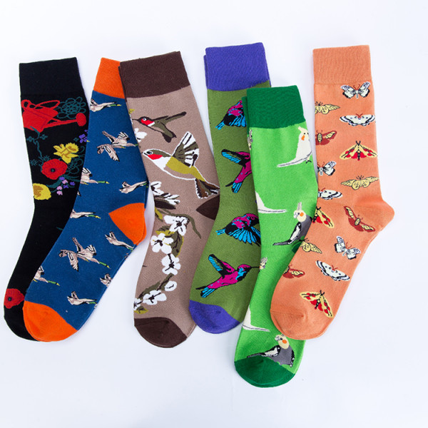 Bird  Animal design picture  cute  fashion funny woman  custom wholesale happy socks