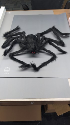 Toy Rhinestone Transfer On Man Inflat Halloween Spider
