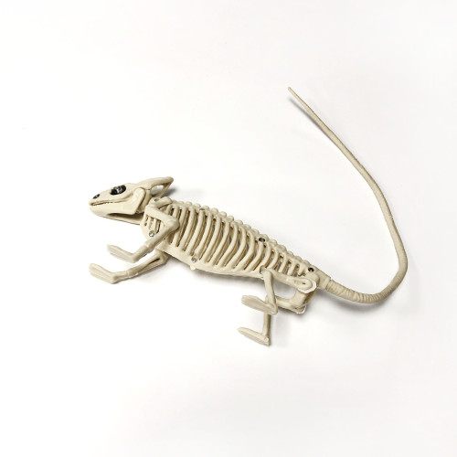 Plastic Life Size Toy Halloween Prop Skeleton