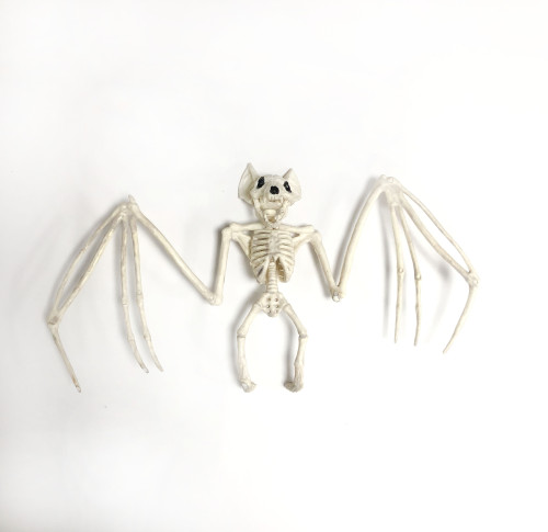 Luminous Life Size Halloween Hanging Skeleton
