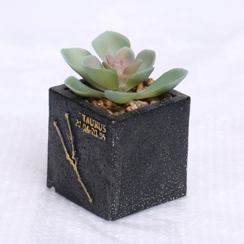 Desk Decoration  Artificial Succulents Plants