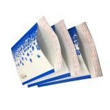 Professional Manufacture Cheap Kraft Paper Bubble Mailers Mailing Envelopes Bubble Mailer Bag