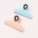 wholesale large size customized color plastic photo and bag sealing clips