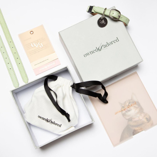 Custom logo 2 pieces cardboard toys dog collar gift packaging box for pet accessories