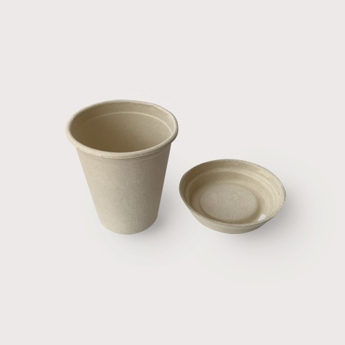 Custom printed 8OZ compostable bagasse cups take away disposable sugarcane coffee cup eco biodegradable juice cup (can with lid)